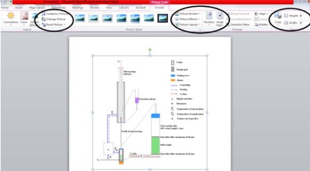 MS word built-in feature